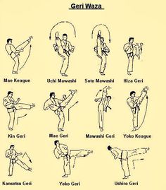 shotokan karate training manual pdf